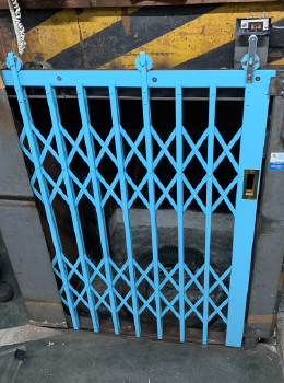 写真ギャラリー