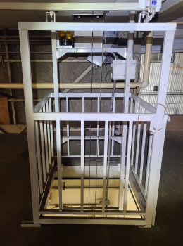 写真ギャラリー