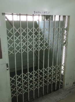 写真ギャラリー